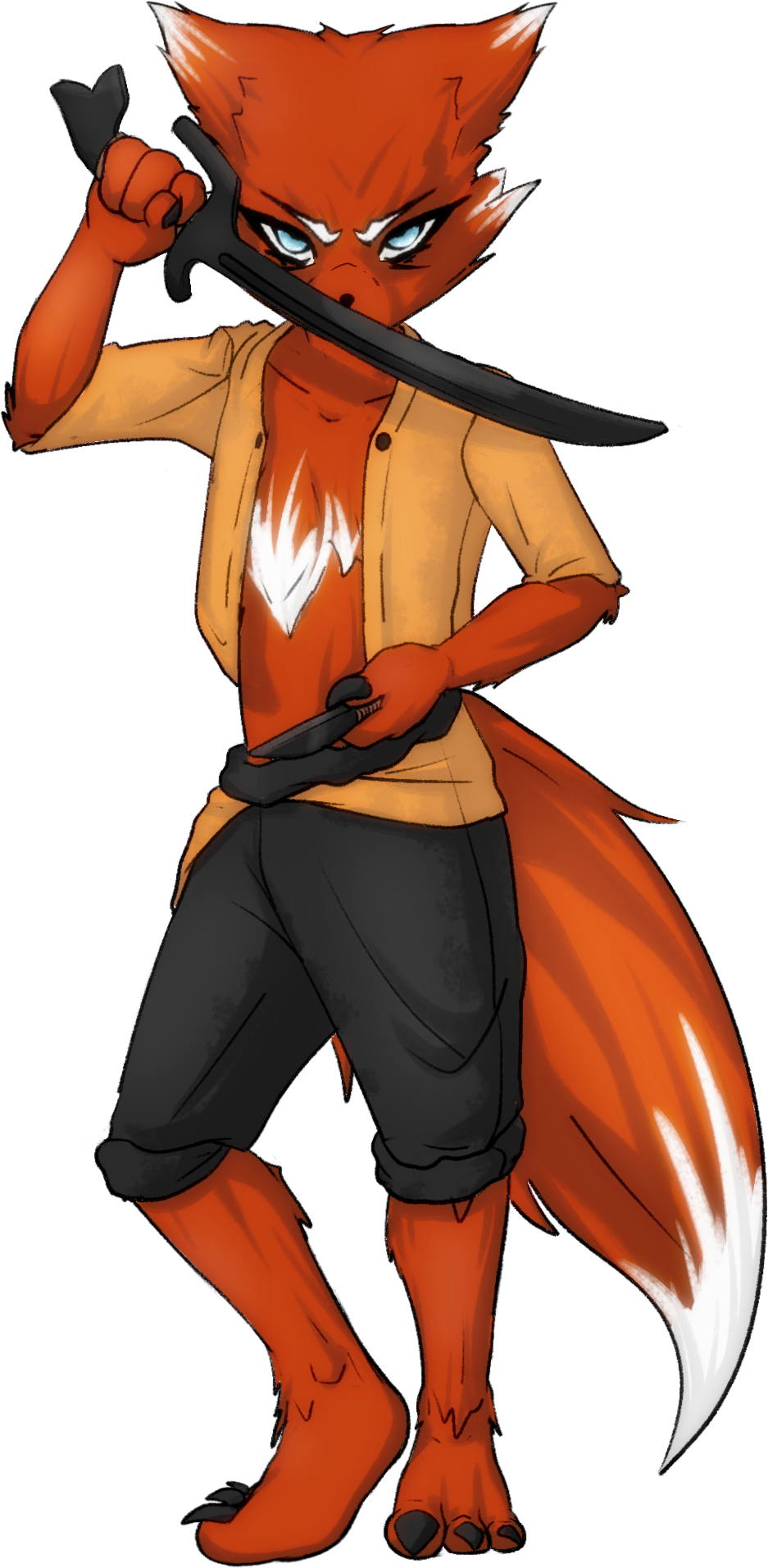 Vulpes FMA Mug