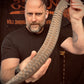 Cursed Sword trainer (Reptilian Variant)