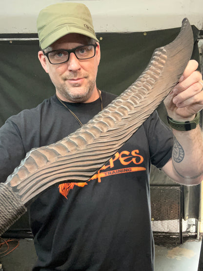 Vulpine Glaive Trainer: Xenomorph Variant