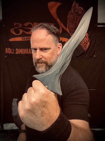 The Assassin Daga Trainer